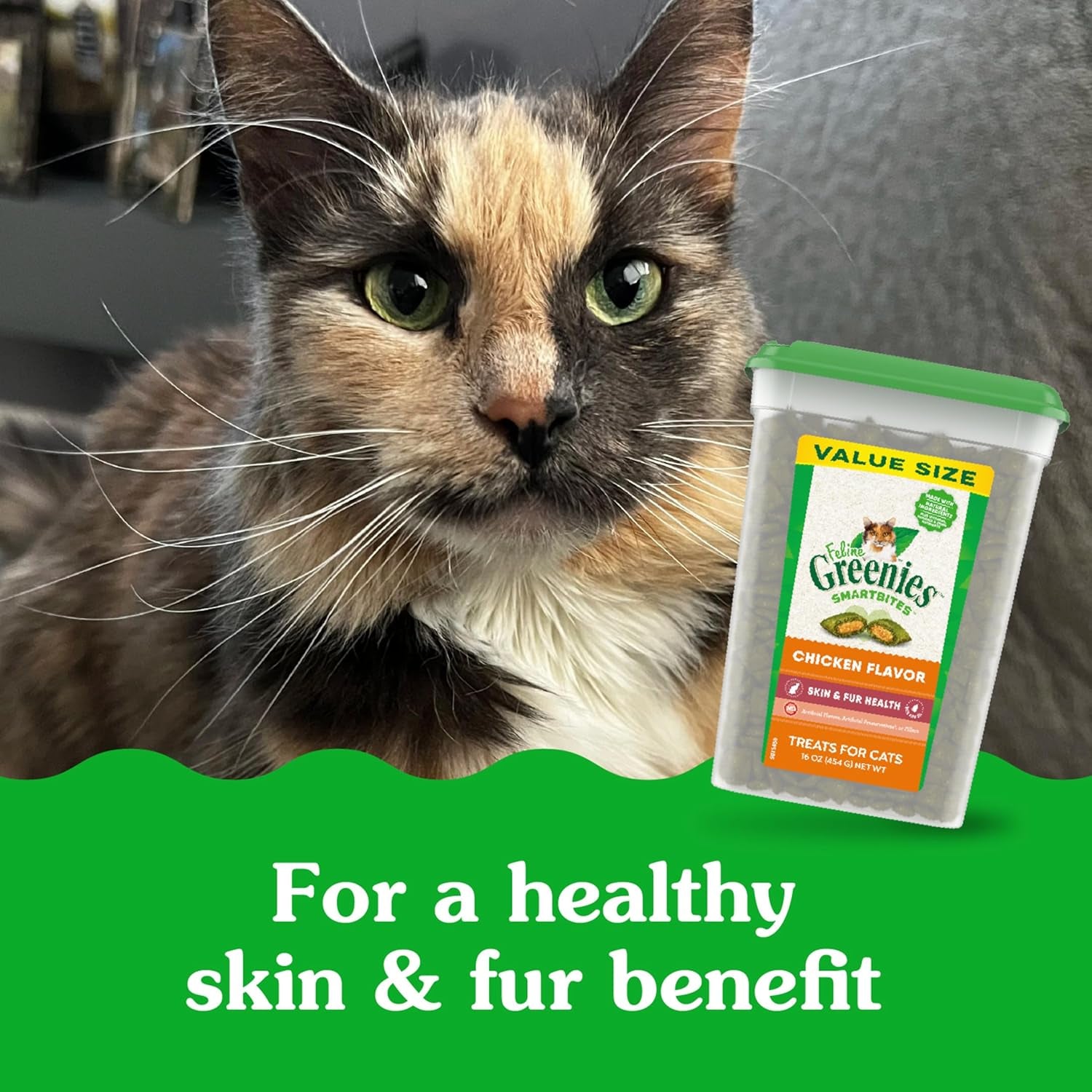 Feline SMARTBITES Healthy Skin and Fur, Chicken and Salmon Flavors, All Bag Sizes