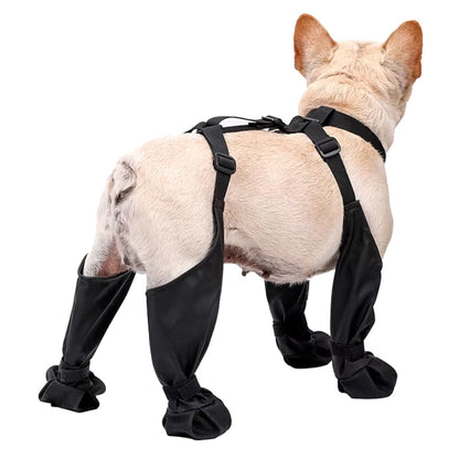PawGuard Pro Dog Boots – Waterproof, Non-Slip Protection for Every Step